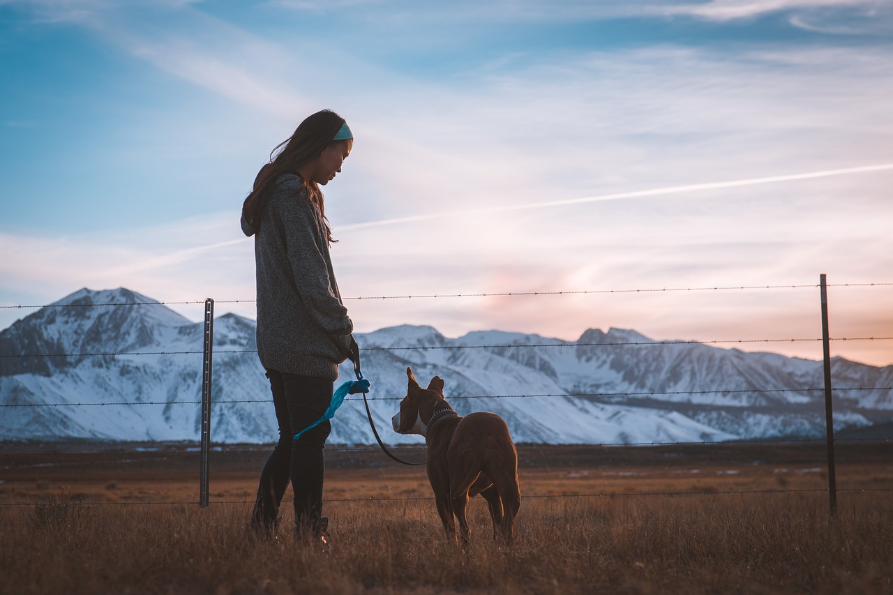 Tips for Reducing Shedding in Dogs